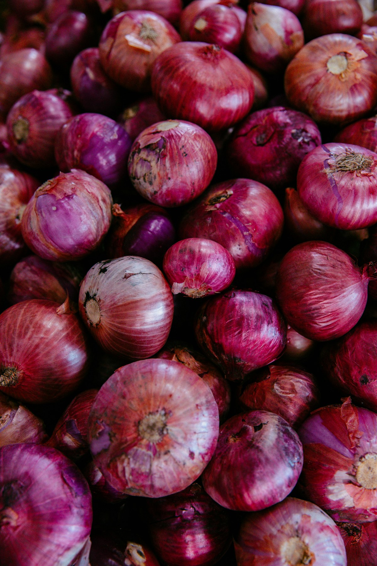 A pile of fresh red onions with purple-red papery skins